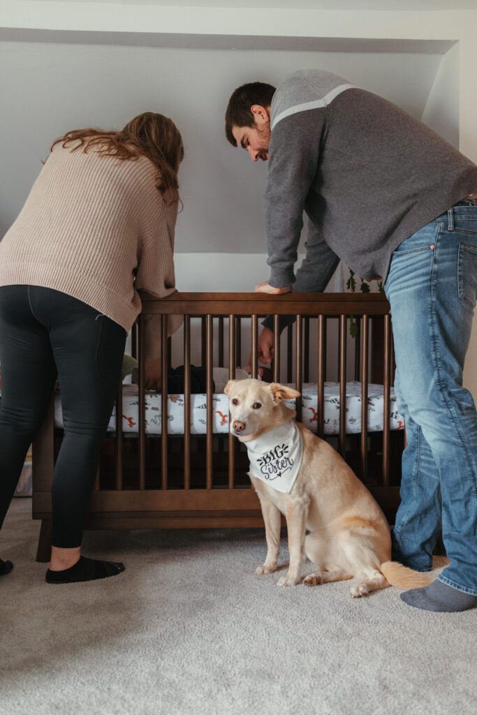 Puppy looking at camera as she was just promoted to big sister and parents knew how to prepare for an in-home newborn session